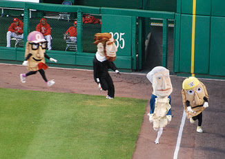 Pierogi race, Pittsburgh Pirates