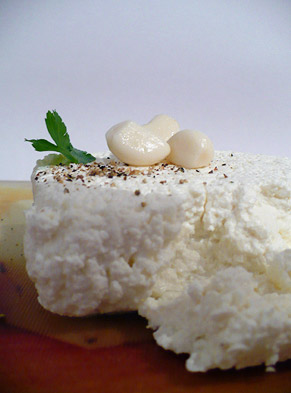 Polish curd cheese