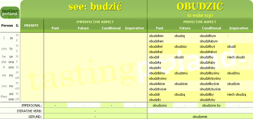 Full conjugation of OBUDZIC verb