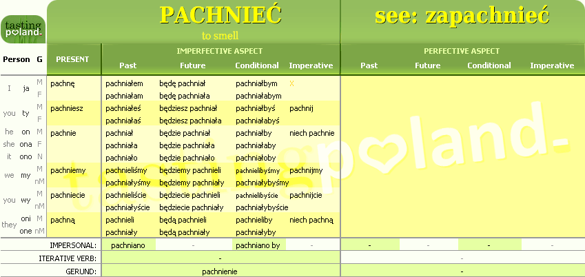 Full conjugation of PACHNIEC verb