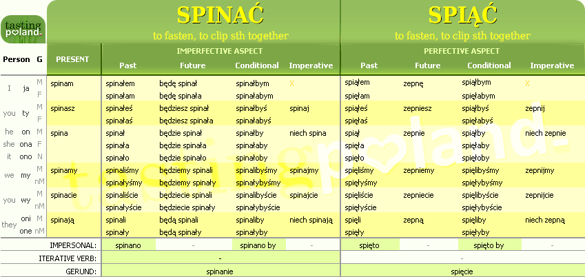 Full conjugation of SPIAC / SPINAC verb