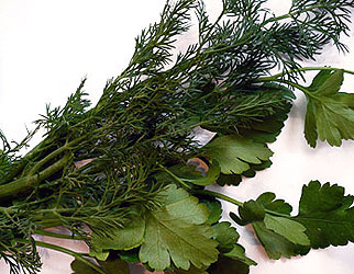 Dill and parsley leaves on Polish table