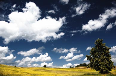 Podlachia landscape