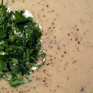Old Polish onion soup close-up