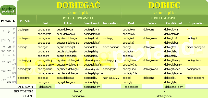 Full conjugation of DOBIEGAC / DOBIEC verb
