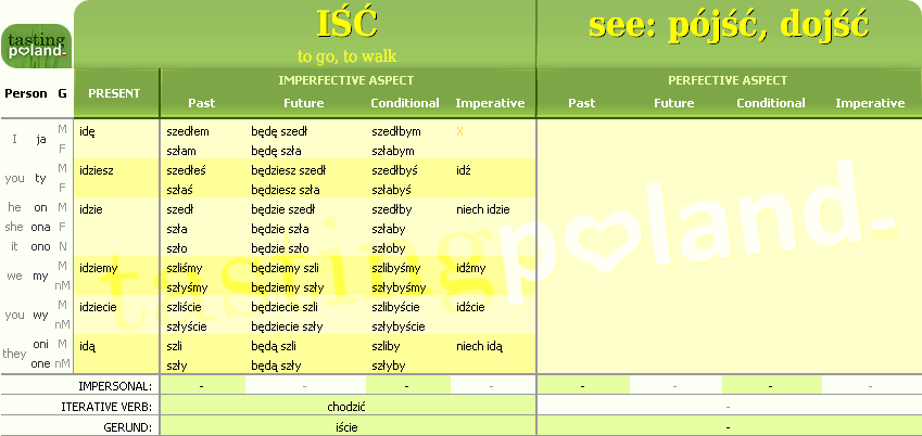 How to conjugate the verb GO in English - Blog SEDA College Online