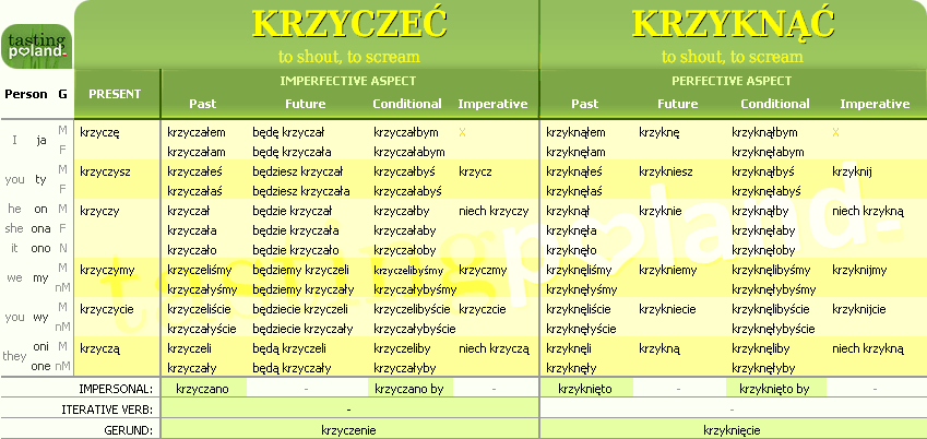 Full conjugation of KRZYKNAC / KRZYCZEC verb