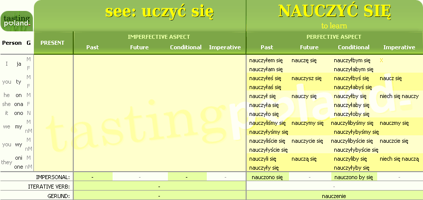 Full conjugation of NAUCZYC SIE verb