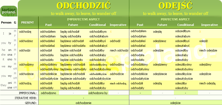 Full conjugation of ODEJSC / ODCHODZIC verb