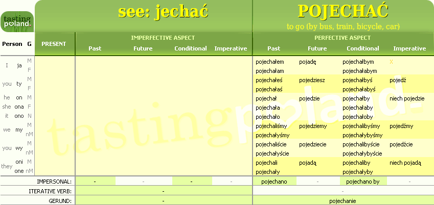 Full conjugation of POJECHAC verb