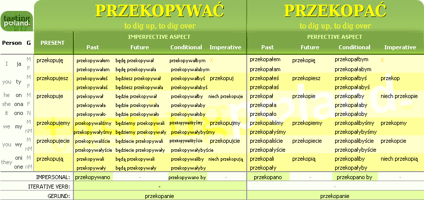 Full conjugation of PRZEKOPAC / PRZEKOPYWAC verb