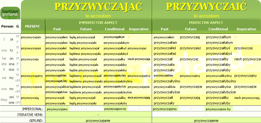 Full conjugation of PRZYZWYCZAIC / PRZYZWYCZAJAC verb