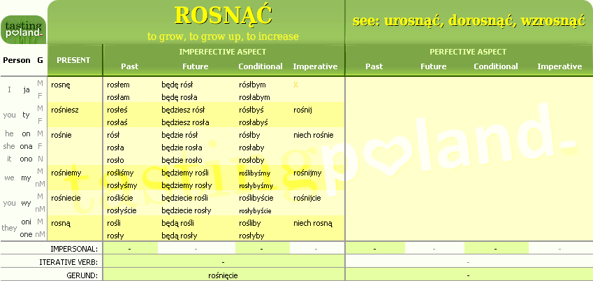 Full conjugation of ROSNAC verb