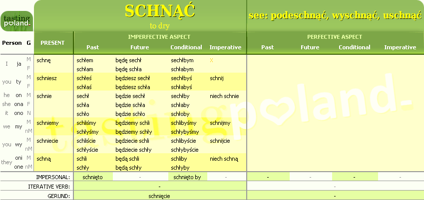 Full conjugation of SCHNAC verb
