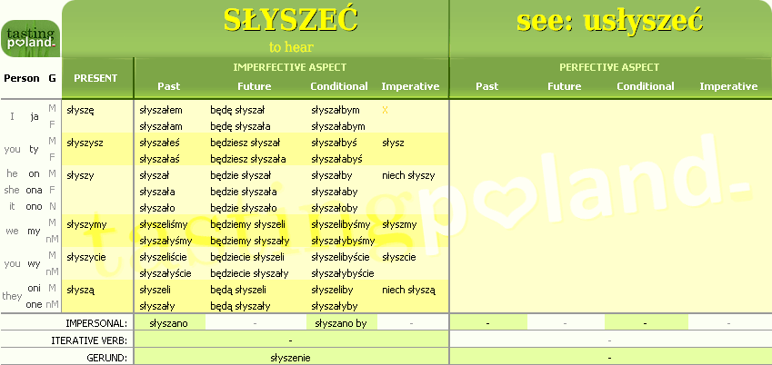 Full conjugation of SLYSZEC verb