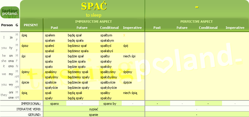 Full conjugation of SPAC verb