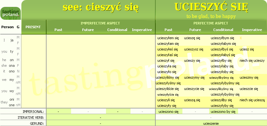 Full conjugation of UCIESZYC SIE verb