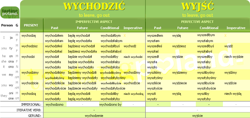 Full conjugation of WYJSC / WYCHODZIC verb