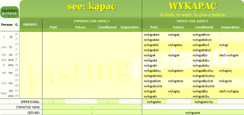 Full conjugation of WYKAPAC verb