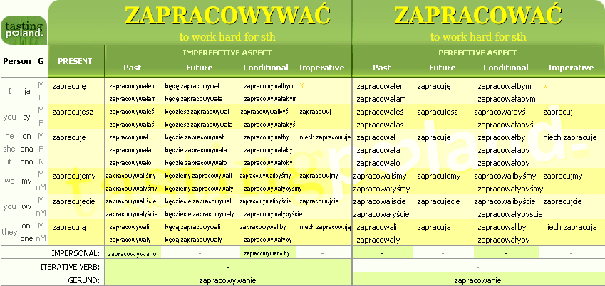 Full conjugation of ZAPRACOWAC / ZAPRACOWYWAC verb