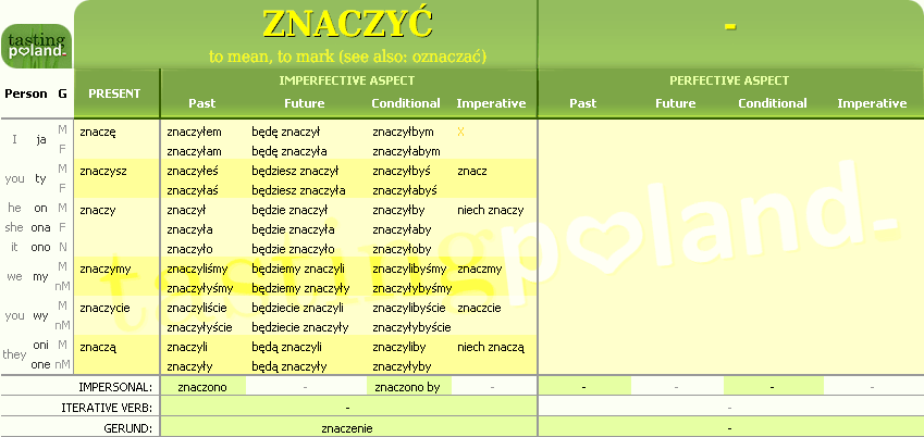 Full conjugation of ZNACZYC verb