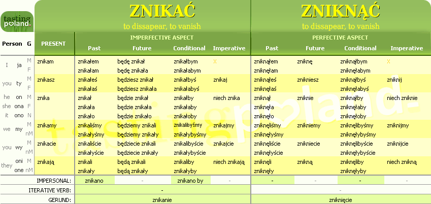Full conjugation of ZNIKNAC / ZNIKAC verb
